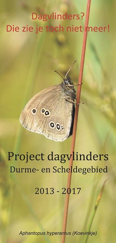 DS Linker banner
