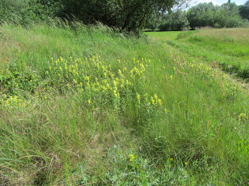 spoorweg 4467
