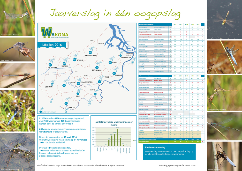 2016 Libellen Wakona in een oogopslag