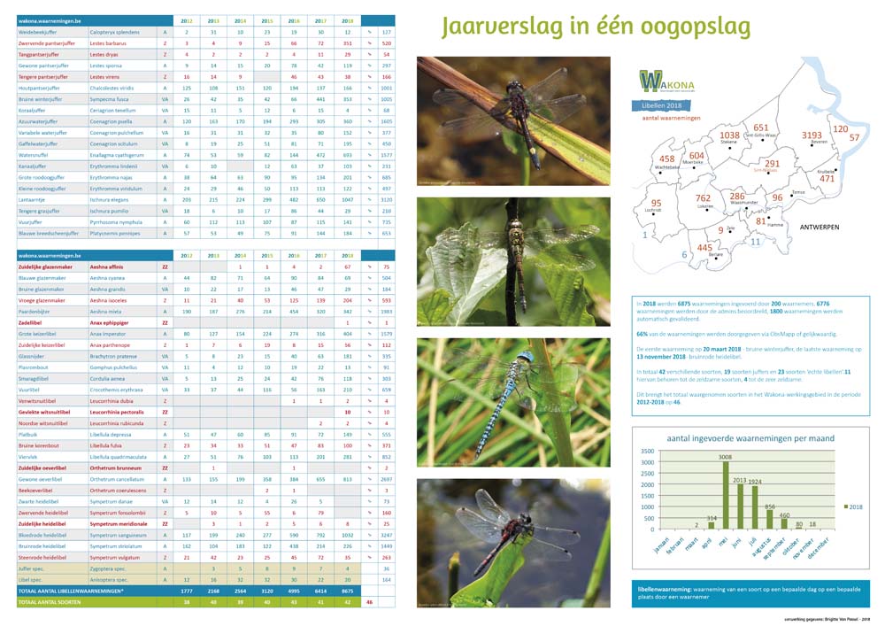 2018 Libellen WAKONA jaarverslag