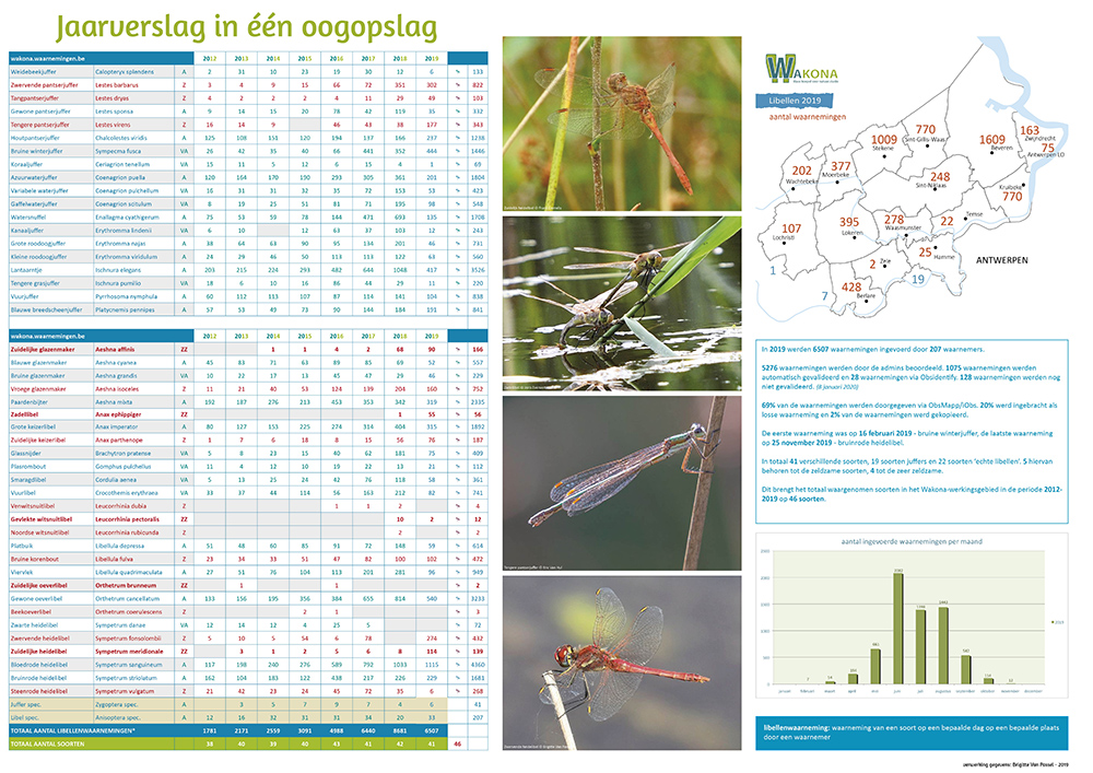 2019 Libellen WAKONA jaarverslag kl