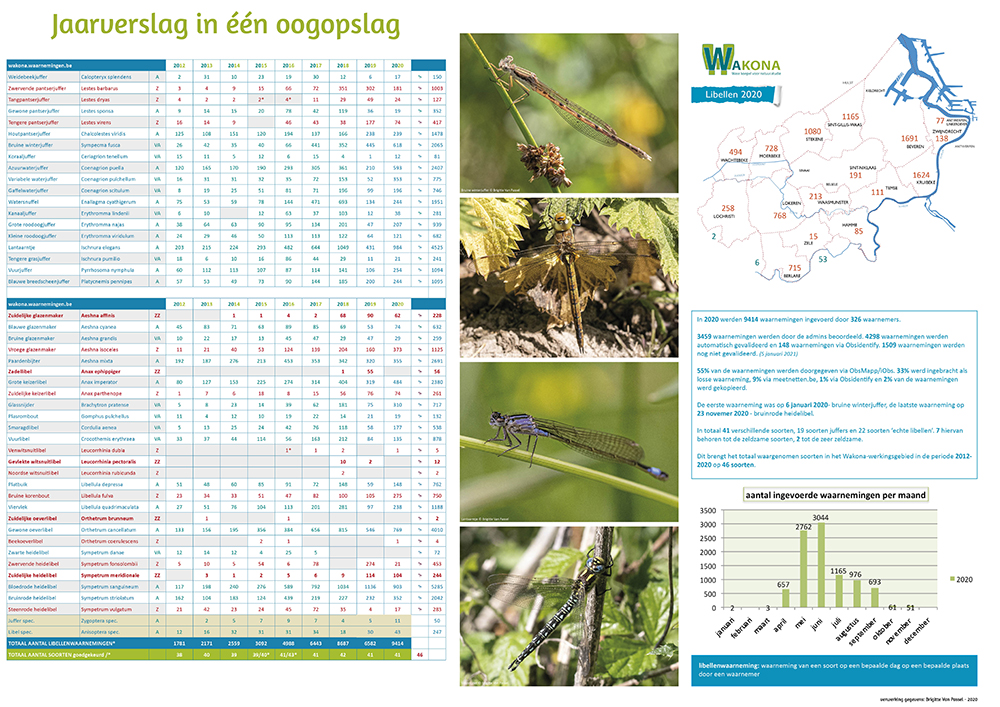 2020 Libellen WAKONA jaarverslag