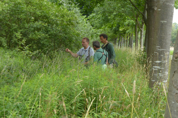 Durmemeersen Hamputten 20170617 P1010104