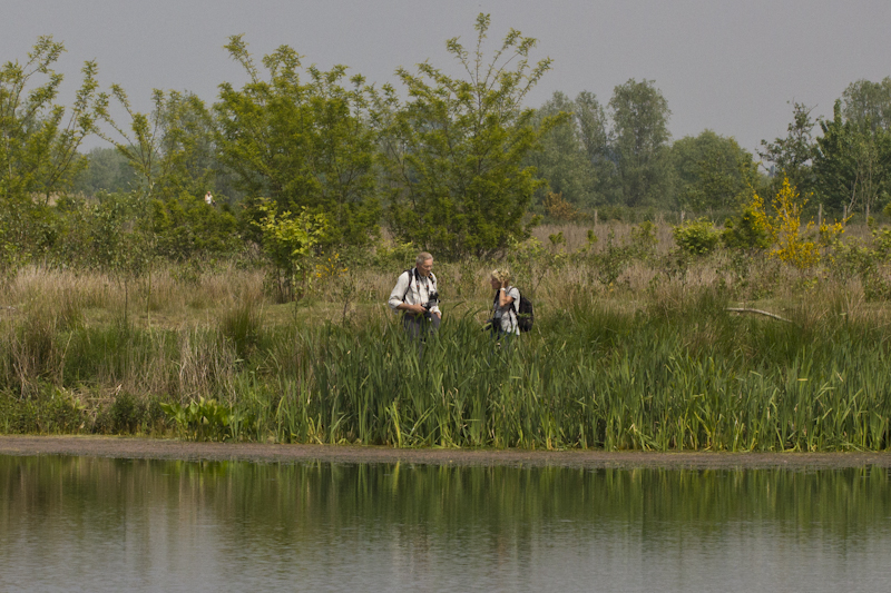 Kalkense Meersen 20190518 MG 3468