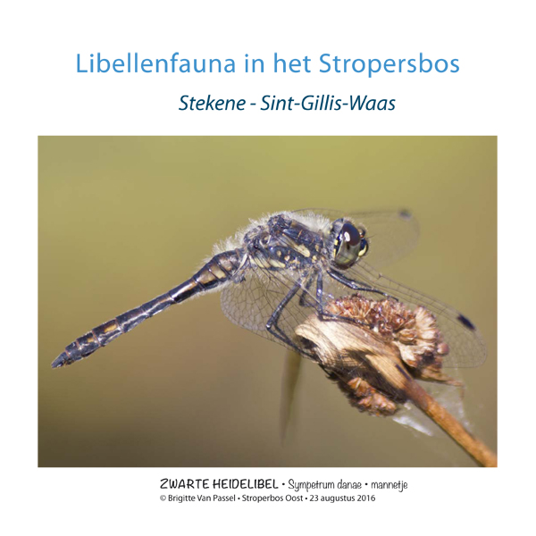 Stropersbos kl 1
