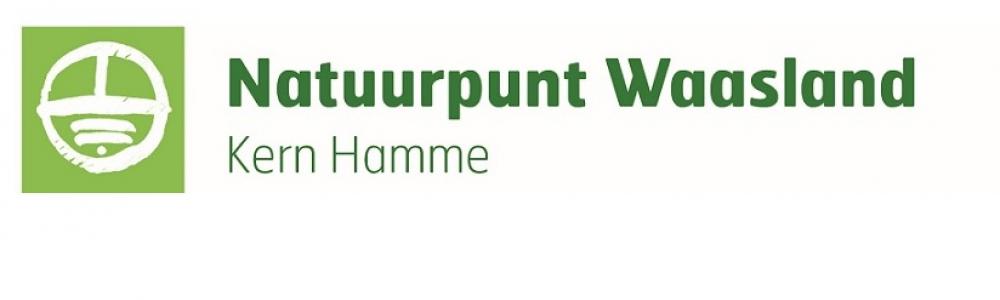 logo hamme